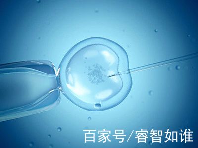 陈鎏主任